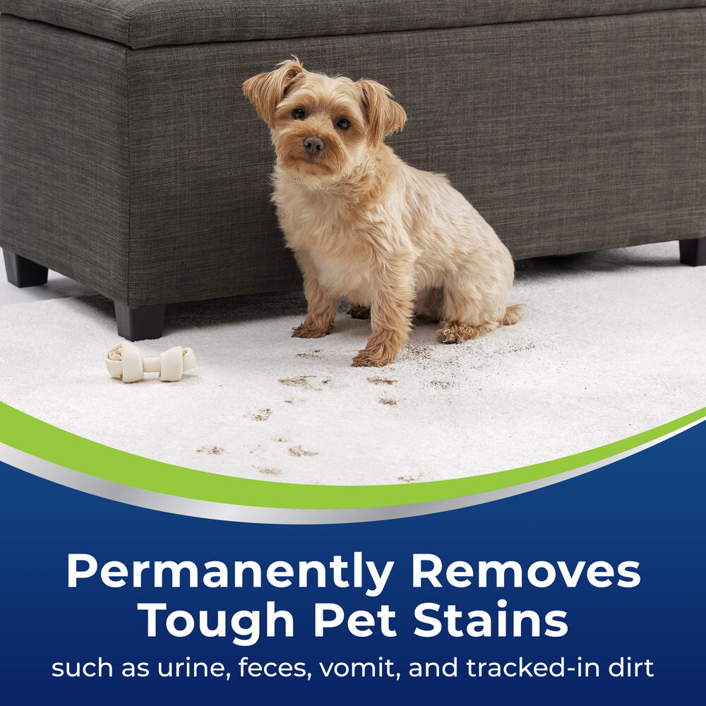 Woolite Advantage Pet Stain & Odor Remover + Sanitize 3327